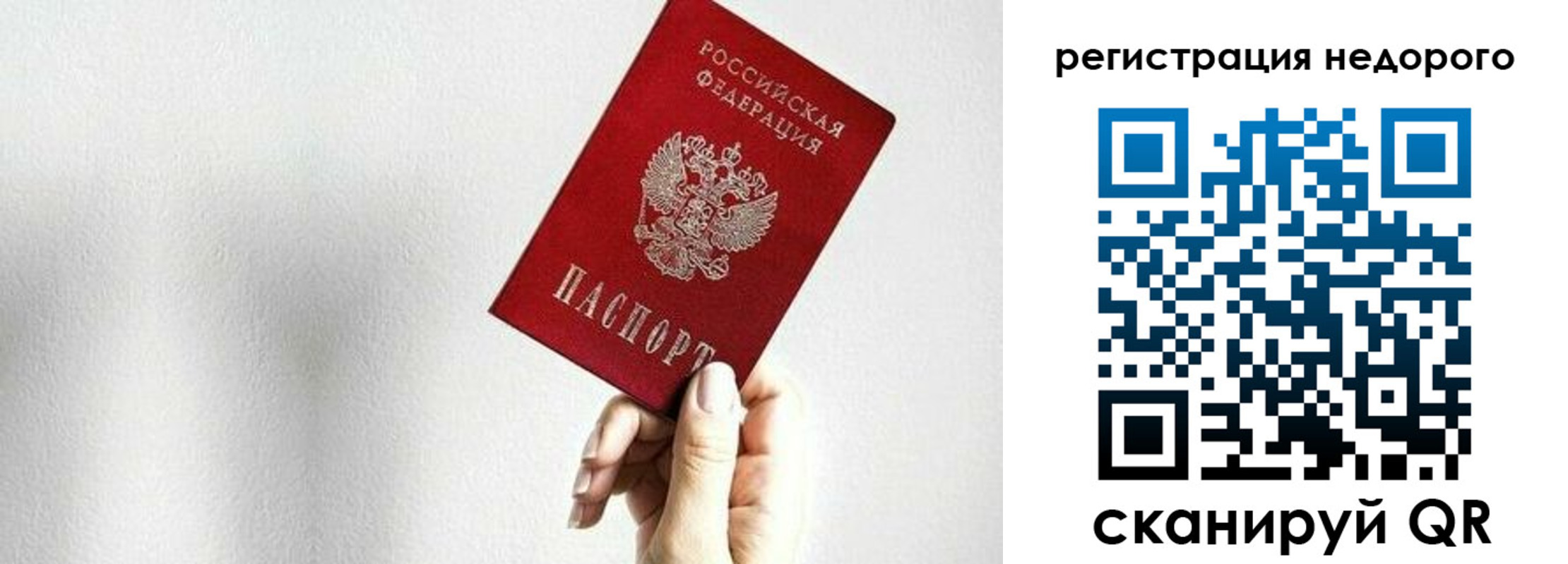 прописка в квартире в Лосино-Петровском