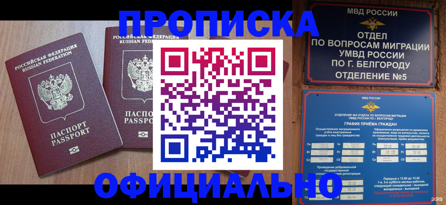 найти адрес прописки в Лосино-Петровском